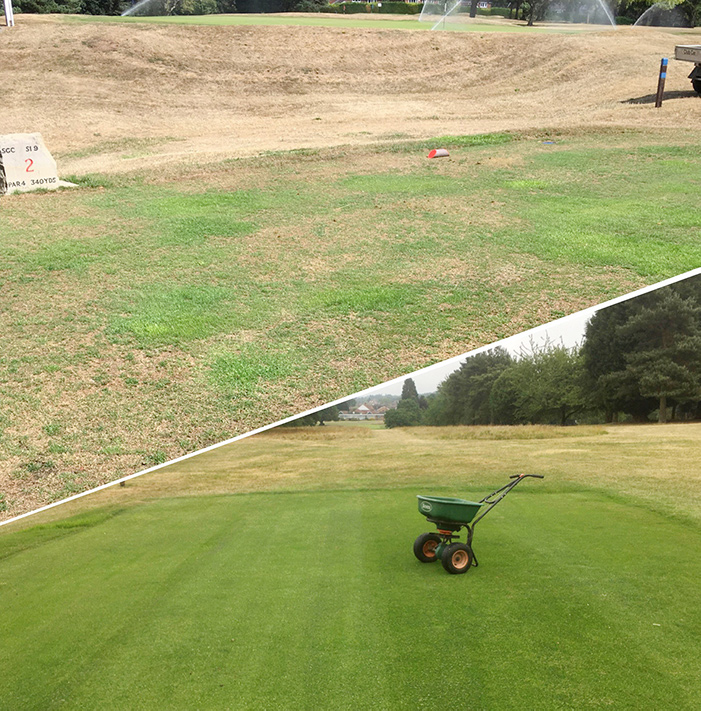 Before and after image of TriCure™ AD Granular being used at Stourbridge Golf Club